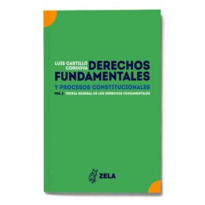 Derechos Fundamentales y Porcesos Constitucionales. Vol. 1 Teoría General de los Derechos Fundamentales