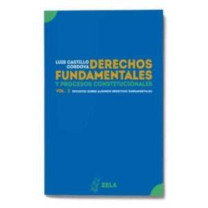 DERECHOS FUNDAMENTALES Y PROCESOS CONSTITUCIONALES VOL. 2