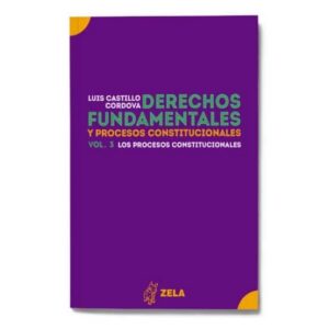 DERECHOS FUNDAMENTALES Y PROCESOS CONSTITUCIONALES VOL. 3