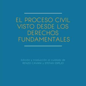 El proceso civil visto desde los derechos fundamentales