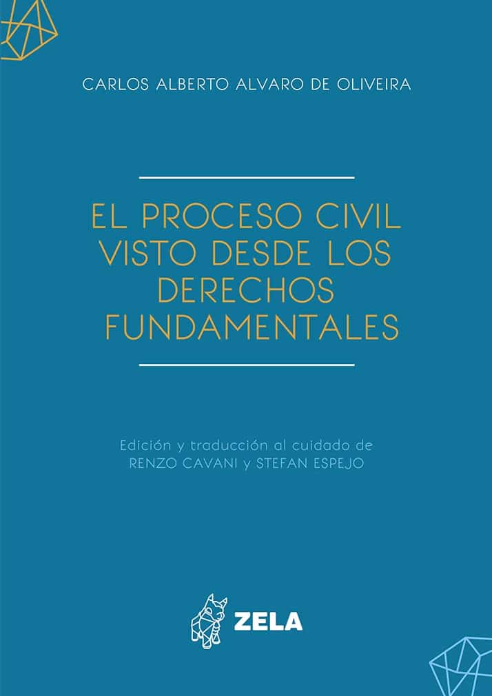 El proceso civil visto desde los derechos fundamentales