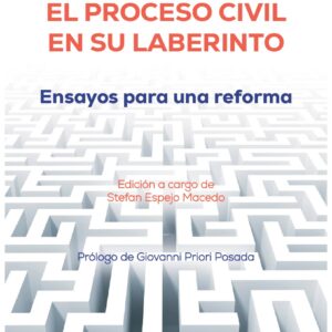 El proceso civil en su laberinto. Ensayos para una reforma